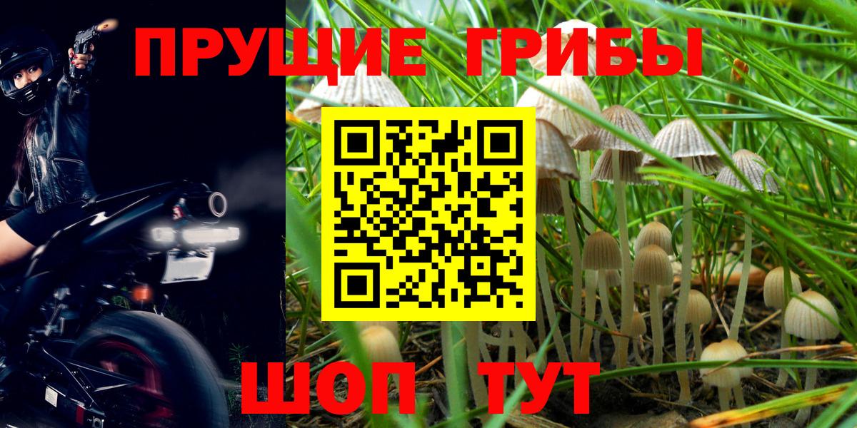 Галлюциногенные грибы мухоморы Ангарск