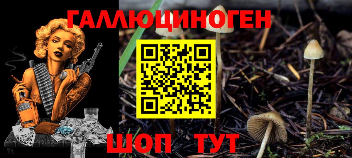 Ангарск  Псилоцибиновые грибы мухоморы  Вход с VPN 
